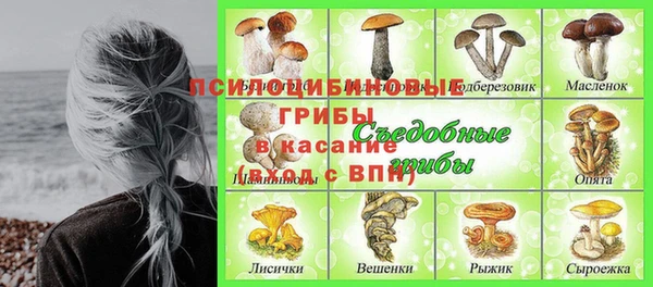 прущий лед Абаза