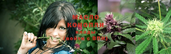 прущий лед Абаза