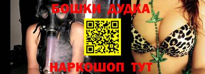 spice Вязники