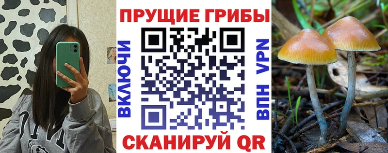 купить   MEGA ССЫЛКА  Псилоцибиновые грибы GOLDEN TEACHER  Белая Калитва 